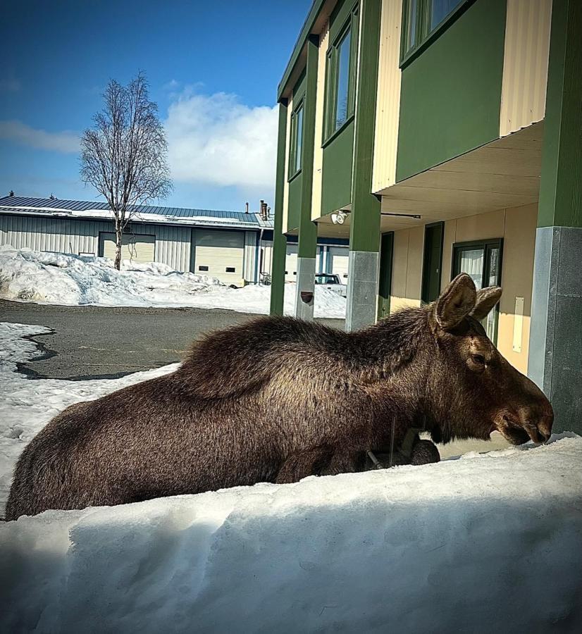 The Kenai Inn Luaran gambar